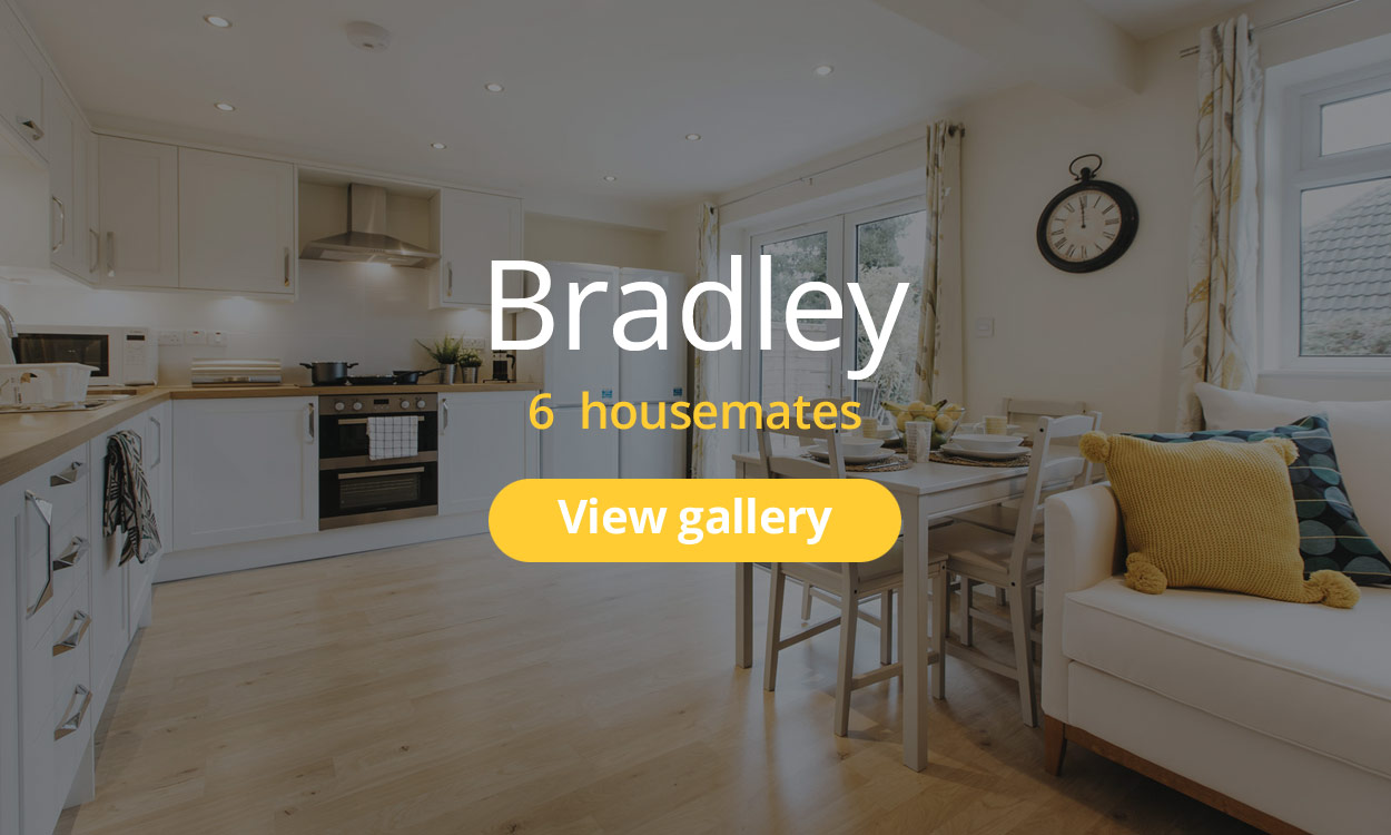 View Bradley Gallery